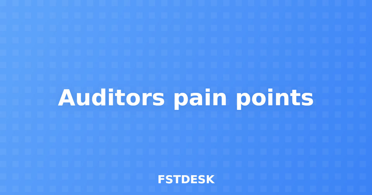 Auditors pain points