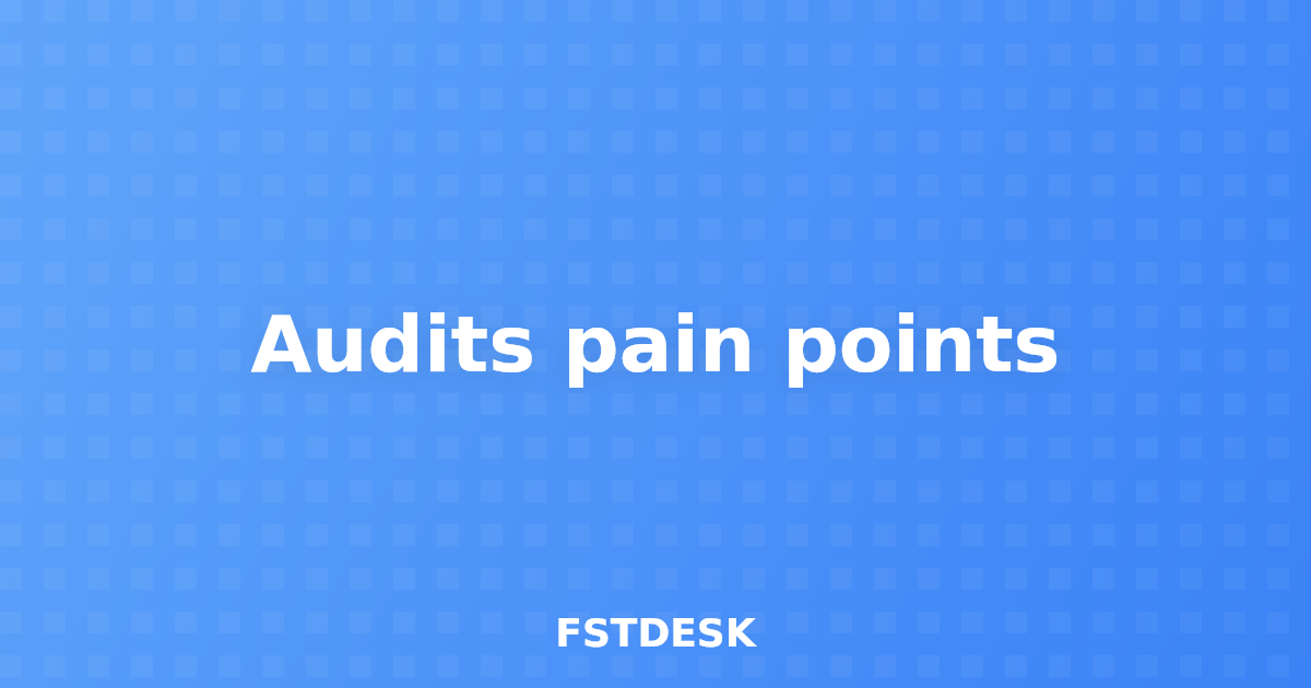 Audits pain points