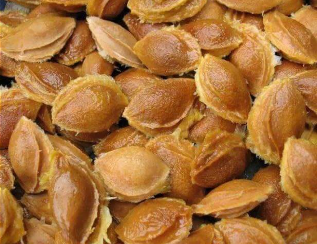 are-seeds-of-apricots-toxic-general-food-science-technology-desk