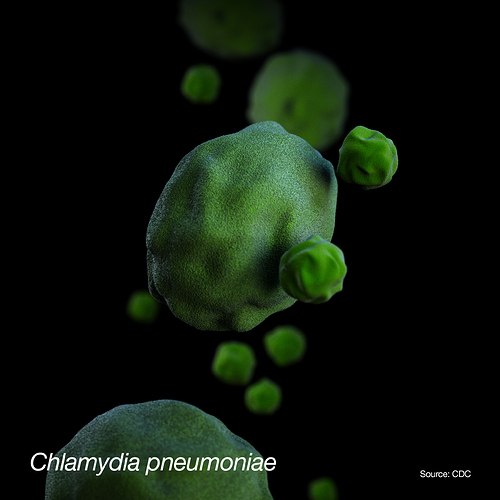 Chlamydia%20pneumoniae