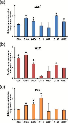 Chlorine treatment enhances expression of virulence genes in Shiga toxin-producing Escherichia coli (STEC). Quantitative RT-PCR of STEC was performed to determine the relative levels of stx1 (A), stx2 (B), and eae (C). Ct (threshold cycle) values of stx1, stx2, and eae were normalized to that of the housekeeping gene, mdh. The relative abundance of virulence genes in stressed cells was then calculated by normalizing to the expression level of corresponding genes in control cells. Data from three independent experiments are presented as means ± SE. *P < 0.05.