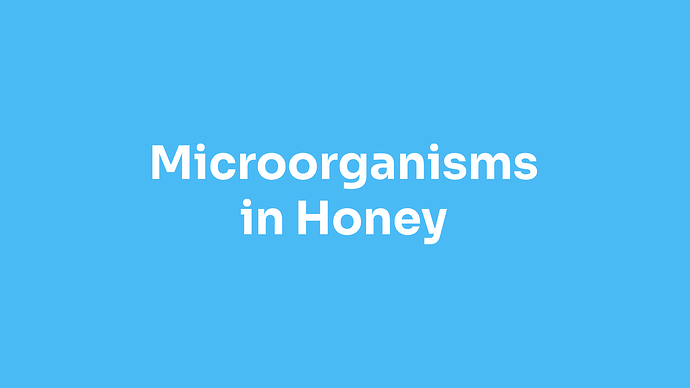 microorganisms-in-honey