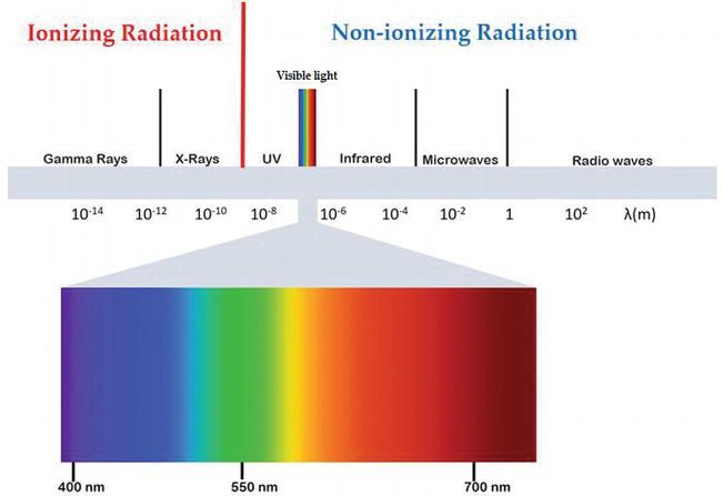 Effects of Radiation Technologies on Food Nutritional Quality