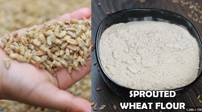 sprounted wheat four
