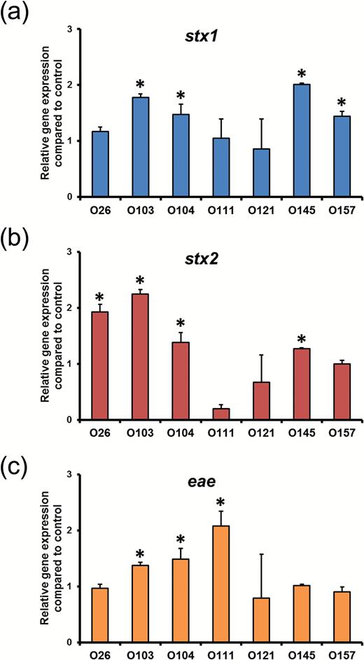 Chlorine treatment enhances expression of virulence genes in Shiga toxin-producing Escherichia coli (STEC). Quantitative RT-PCR of STEC was performed to determine the relative levels of stx1 (A), stx2 (B), and eae (C). Ct (threshold cycle) values of stx1, stx2, and eae were normalized to that of the housekeeping gene, mdh. The relative abundance of virulence genes in stressed cells was then calculated by normalizing to the expression level of corresponding genes in control cells. Data from three independent experiments are presented as means ± SE. *P < 0.05.