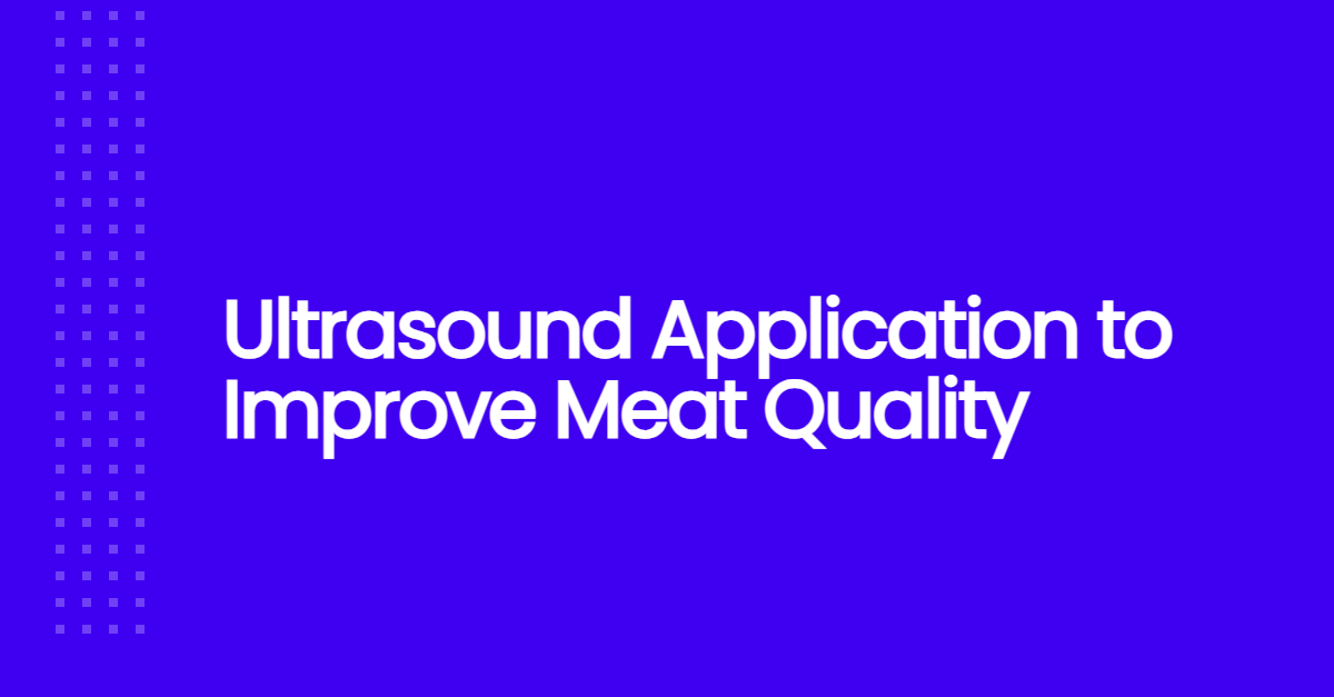 Ultrasound Application to Improve Meat Quality