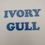 IvoryGull